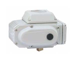 ����չʾ늄ӈ��������ĈD,׌�͑���ֱ�^���˽��҂��ĮaƷ!