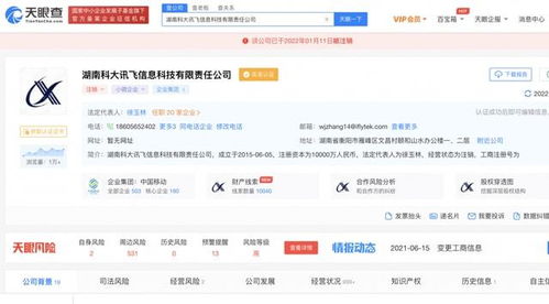 湖南科大訊飛信息科技有限責任公司注銷，軟件開發領域引發行業關注